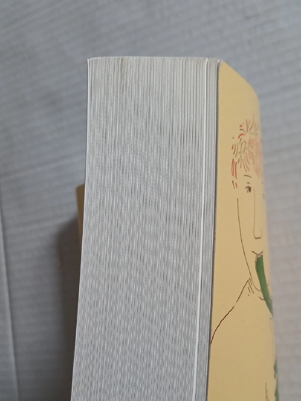 Vintage 70's The Vegetarian Epicure by Anna Thomas Paperback Vintage Books